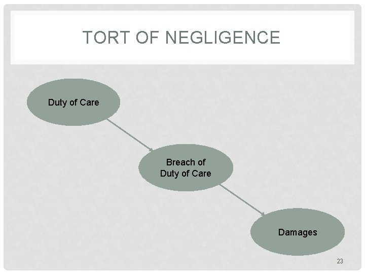 TORT OF NEGLIGENCE Duty of Care Breach of Duty of Care Damages 23 TORT OF NEGLIGENCE Duty of Care Breach of Duty of Care Damages 23