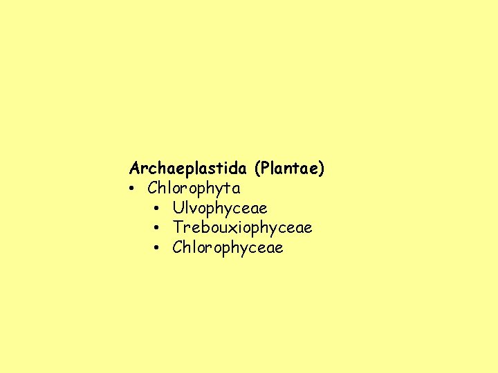 Archaeplastida (Plantae) • Chlorophyta • Ulvophyceae • Trebouxiophyceae • Chlorophyceae 