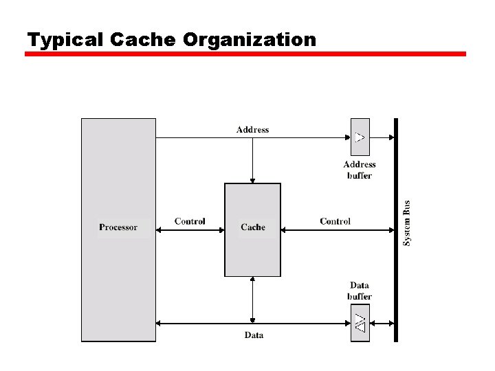 Typical Cache Organization 