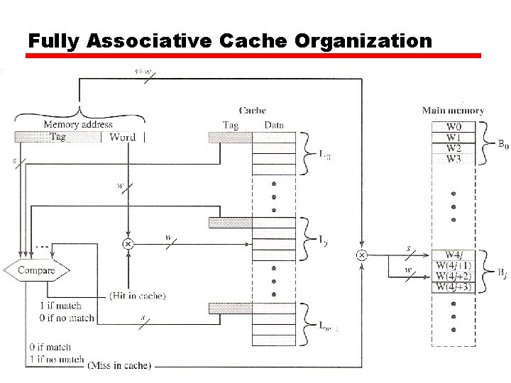 Fully Associative Cache Organization Fully Associative Cache Organization