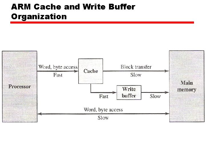 ARM Cache and Write Buffer Organization 