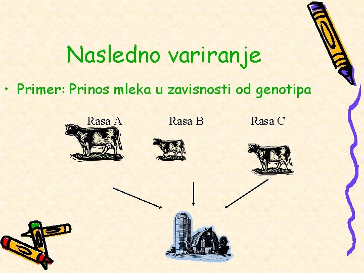 Nasledno variranje • Primer: Prinos mleka u zavisnosti od genotipa Rasa A Rasa B