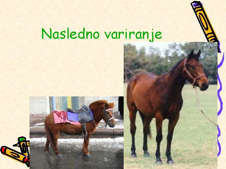 Nasledno variranje 