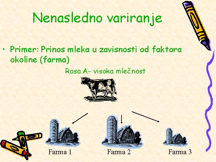 Nenasledno variranje • Primer: Prinos mleka u zavisnosti od faktora okoline (farma) Rasa A-