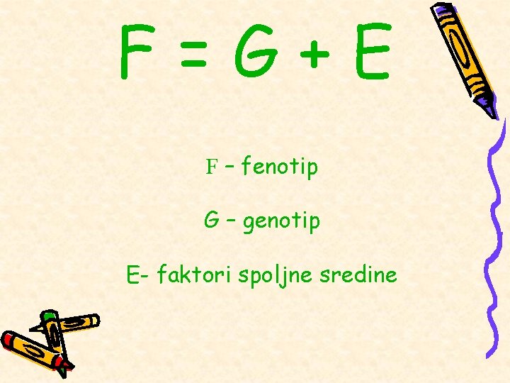 F=G+E F – fenotip G – genotip E- faktori spoljne sredine F=G+E F – fenotip G – genotip E- faktori spoljne sredine