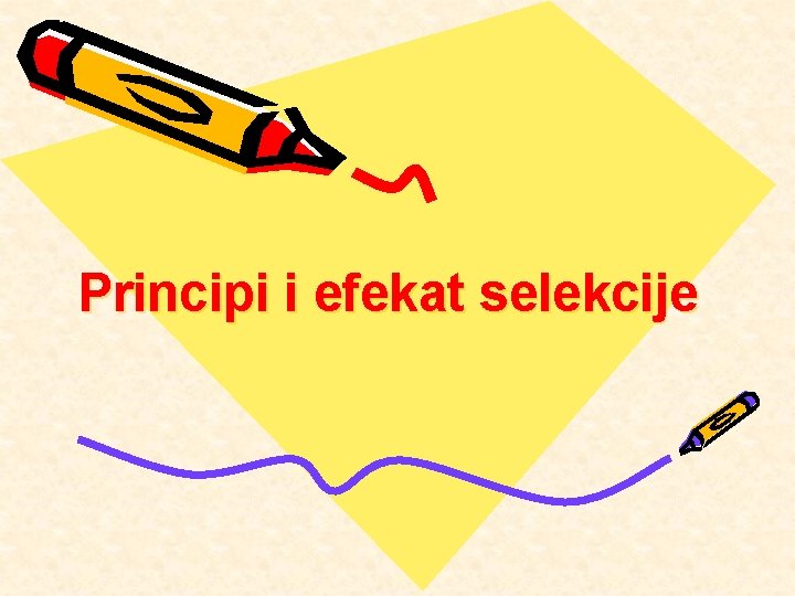 Principi i efekat selekcije 