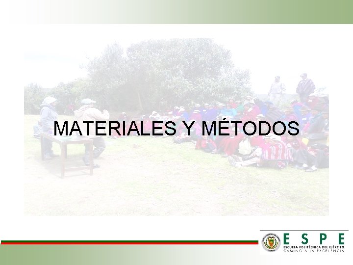 MATERIALES Y MÉTODOS 