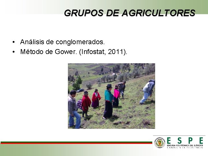 GRUPOS DE AGRICULTORES • Análisis de conglomerados. • Método de Gower. (Infostat, 2011). 