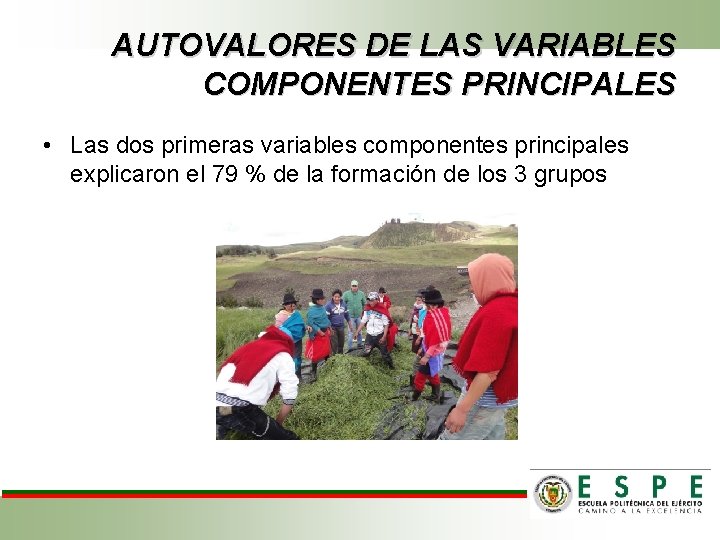 AUTOVALORES DE LAS VARIABLES COMPONENTES PRINCIPALES • Las dos primeras variables componentes principales explicaron