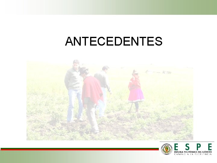 ANTECEDENTES 