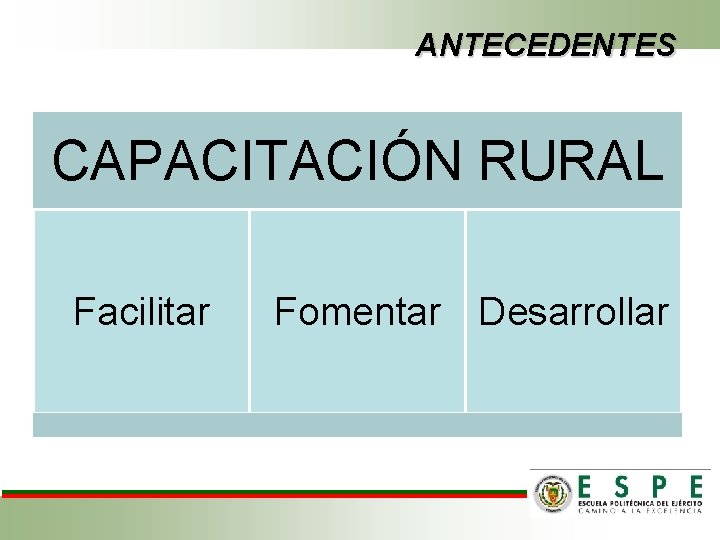 ANTECEDENTES CAPACITACIÓN RURAL Facilitar Fomentar Desarrollar 