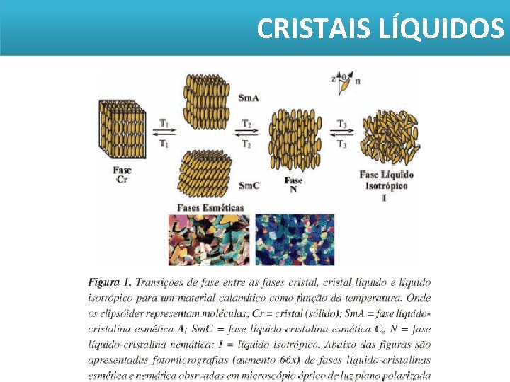 CRISTAIS LÍQUIDOS CRISTAIS LÍQUIDOS