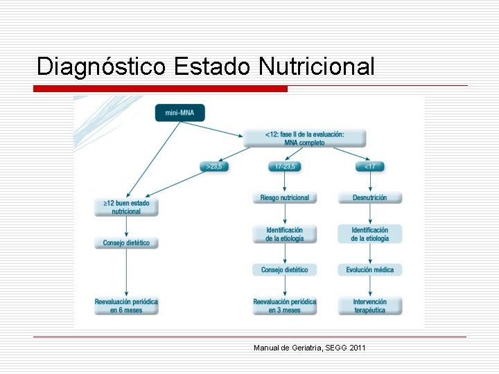 Diagnóstico Estado Nutricional Manual de Geriatria, SEGG 2011 