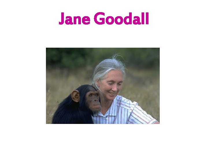 Jane Goodall 