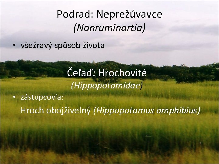 Podrad: Neprežúvavce (Nonruminartia) • všežravý spôsob života Čeľaď: Hrochovité (Hippopotamidae) • zástupcovia: Hroch obojživelný