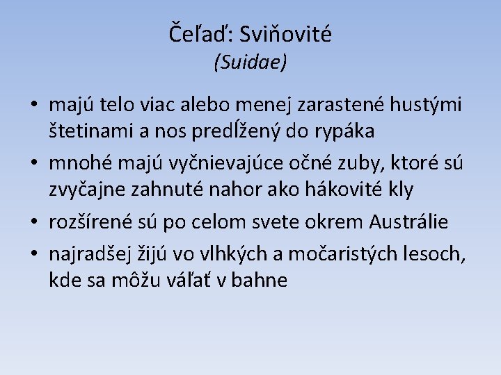 Čeľaď: Sviňovité (Suidae) • majú telo viac alebo menej zarastené hustými štetinami a nos