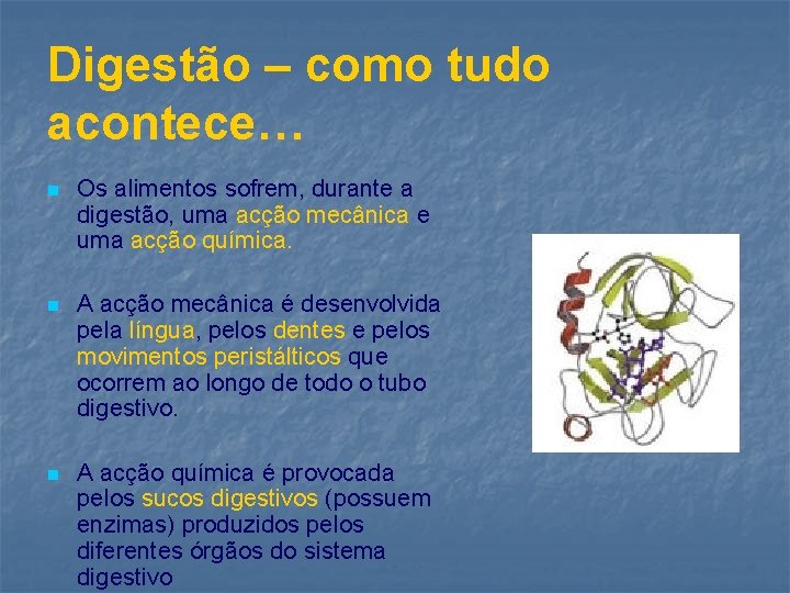 Digestão – como tudo acontece… n Os alimentos sofrem, durante a digestão, uma acção