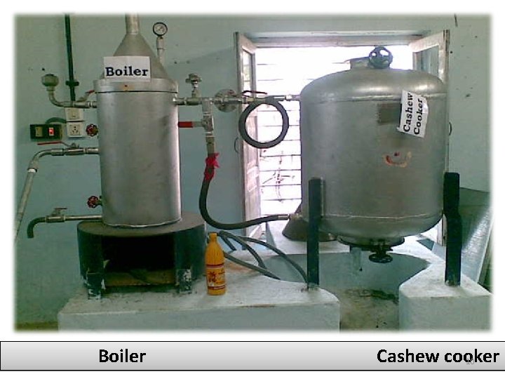 Boiler Cashew cooker 10 