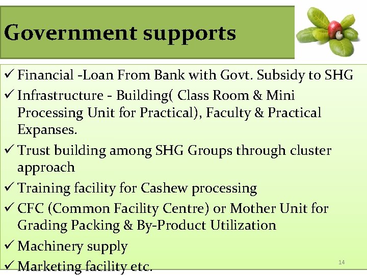 Government supports ü Financial -Loan From Bank with Govt. Subsidy to SHG ü Infrastructure