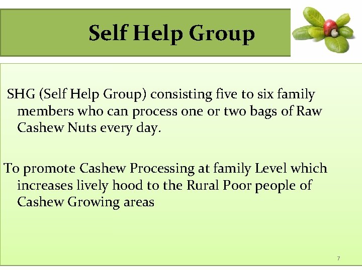 Self Help Group SHG (Self Help Group) consisting five to six family members who