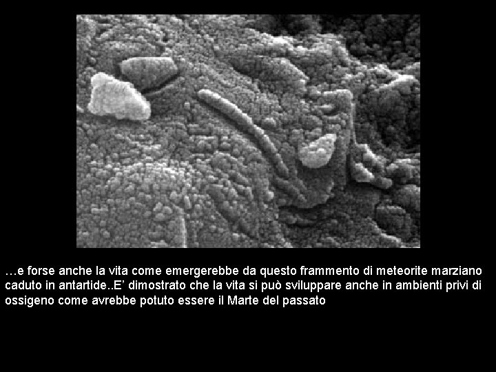 …e forse anche la vita come emergerebbe da questo frammento di meteorite marziano caduto