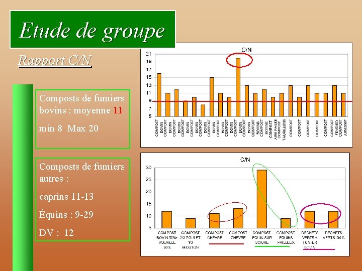 Etude de groupe Rapport C/N Composts de fumiers bovins : moyenne 11 min 8