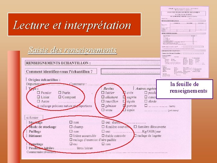 Lecture et interprétation Saisie des renseignements la feuille de renseignements 