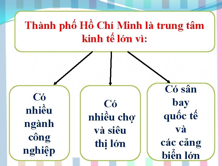 Thành phố Hồ Chí Minh là trung tâm kinh tế lớn vì: Có nhiều
