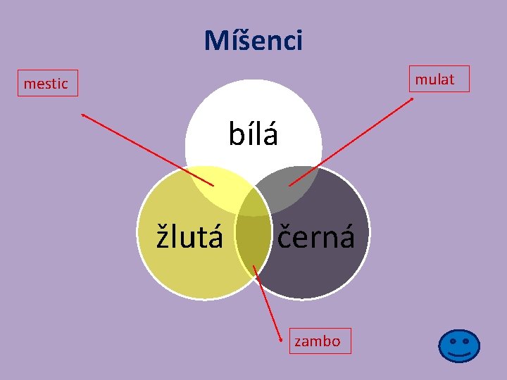 Míšenci mulat mestic bílá žlutá černá zambo 