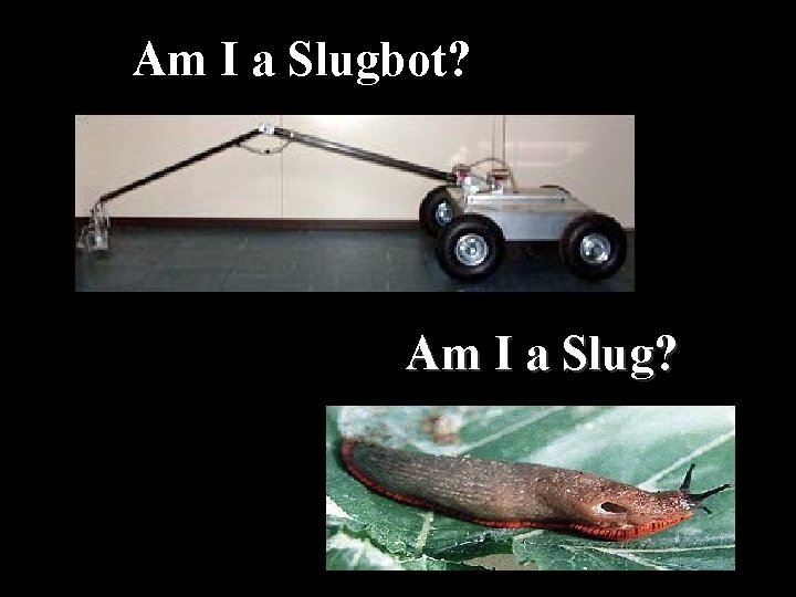 Am I a Slugbot? Am I a Slug? 