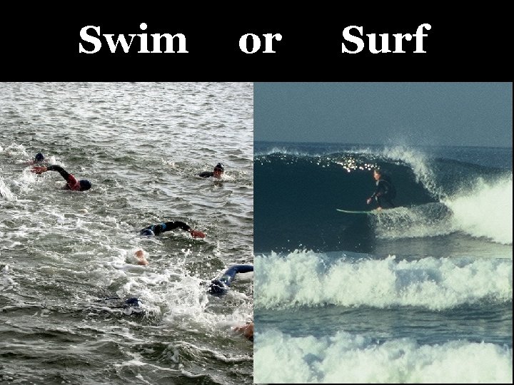 Swim or Surf 