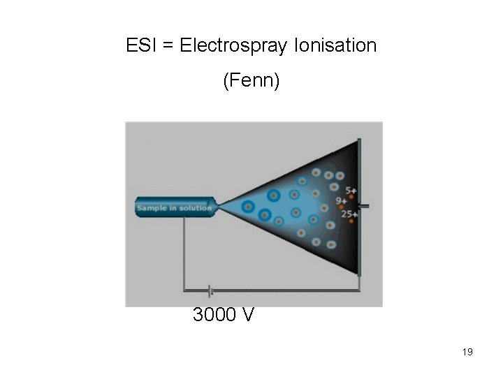 ESI = Electrospray Ionisation (Fenn) 3000 V 19 