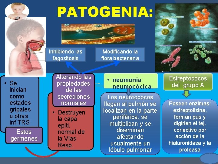 PATOGENIA: Inhibiendo las fagositosis • Se inician como estados gripales u otras inf. TRS PATOGENIA: Inhibiendo las fagositosis • Se inician como estados gripales u otras inf. TRS