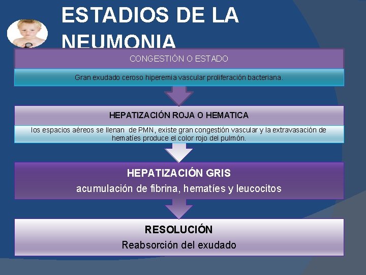 ESTADIOS DE LA NEUMONIA CONGESTIÓN O ESTADO Gran exudado ceroso hiperemia vascular proliferación bacteriana. ESTADIOS DE LA NEUMONIA CONGESTIÓN O ESTADO Gran exudado ceroso hiperemia vascular proliferación bacteriana.