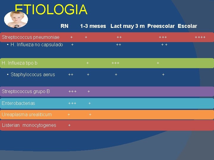 ETIOLOGIA RN Streptococcus pneumoniae 1 -3 meses Lact may 3 m Preescolar Escolar + ETIOLOGIA RN Streptococcus pneumoniae 1 -3 meses Lact may 3 m Preescolar Escolar +