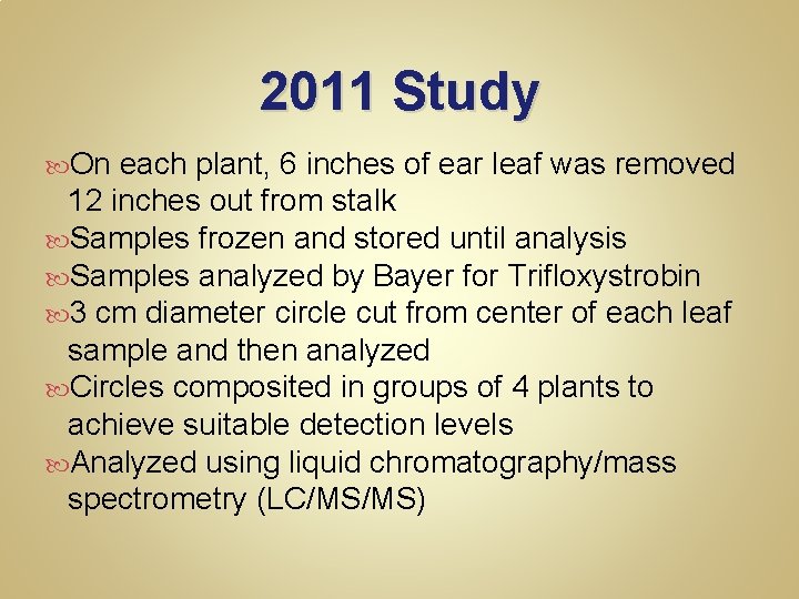 2011 Study On each plant, 6 inches of ear leaf was removed 12 inches
