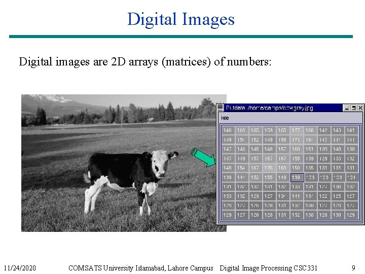 Digital Images Digital images are 2 D arrays (matrices) of numbers: 11/24/2020 COMSATS University