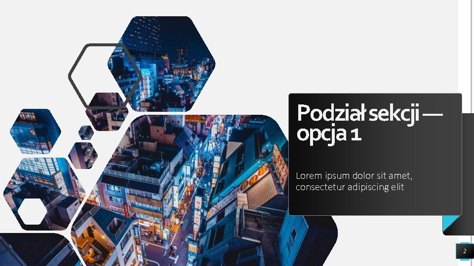 Podział sekcji — opcja 1 Lorem ipsum dolor sit amet, consectetur adipiscing elit 2