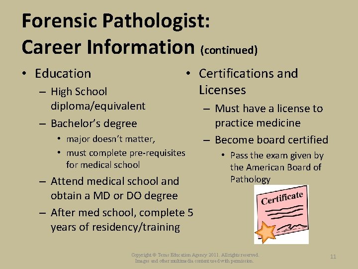 Forensic Pathologist: Career Information (continued) • Education – High School diploma/equivalent – Bachelor’s degree