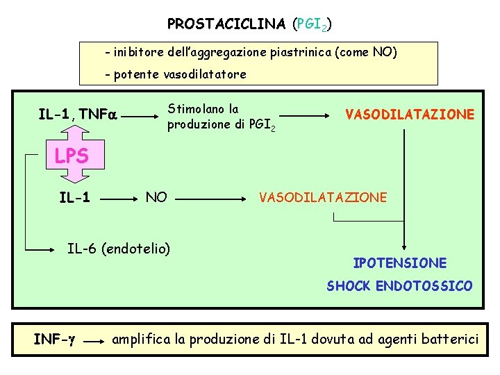 PROSTACICLINA (PGI 2) - inibitore dell’aggregazione piastrinica (come NO) - potente vasodilatatore Stimolano la