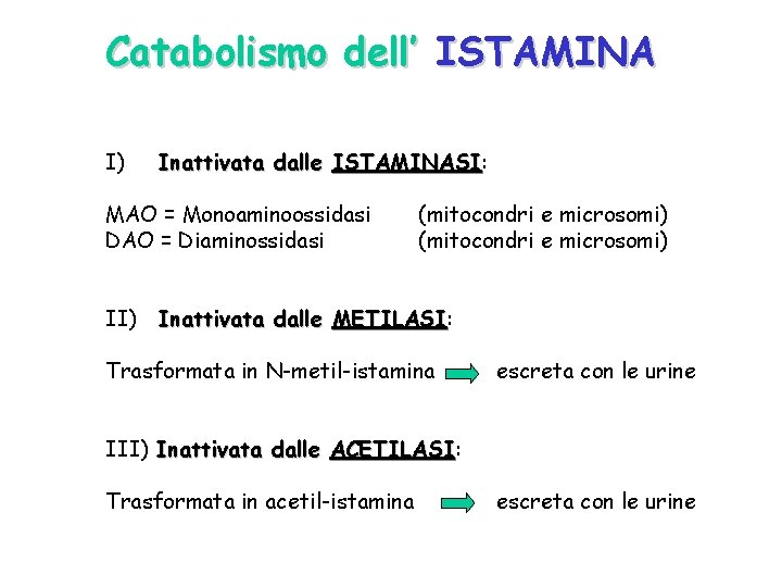 Catabolismo dell’ ISTAMINA I) Inattivata dalle ISTAMINASI: ISTAMINASI MAO = Monoaminoossidasi DAO = Diaminossidasi