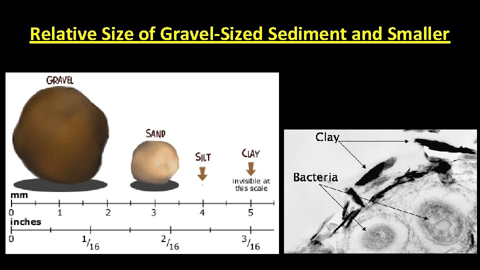 Relative Size of Gravel-Sized Sediment and Smaller 