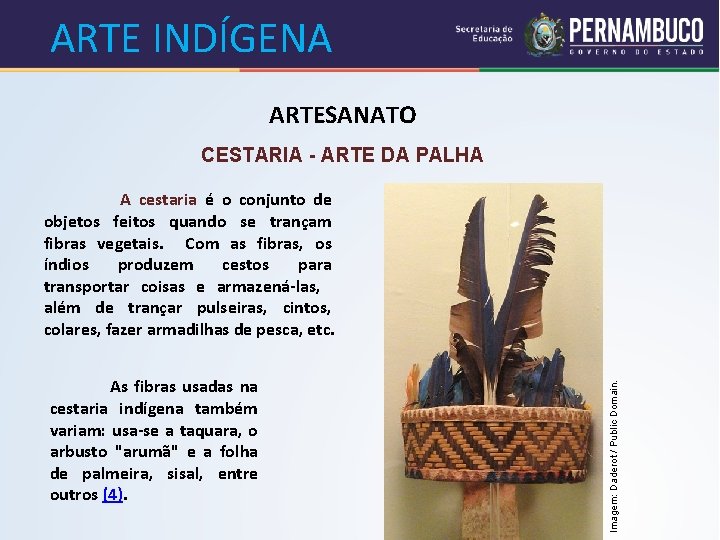 ARTE INDÍGENA ARTESANATO CESTARIA - ARTE DA PALHA As fibras usadas na cestaria indígena