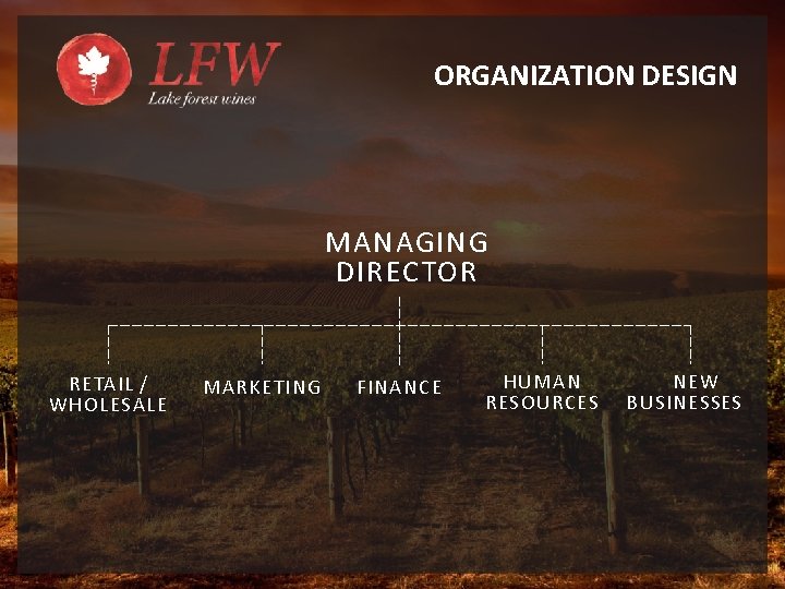 ORGANIZATION DESIGN MANAGING DIRECTOR RETAIL / WHOLESALE MARKETING FINANCE HUMAN RESOURCES NEW BUSINESSES 