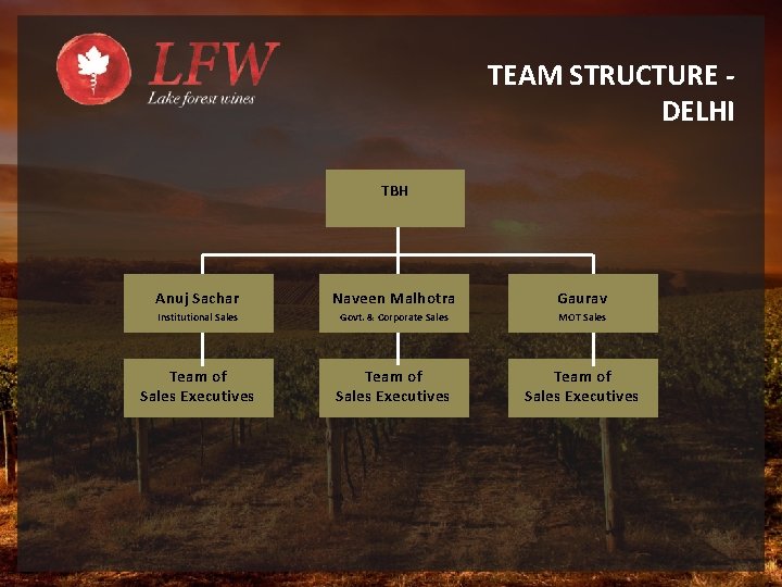 TEAM STRUCTURE DELHI TBH Anuj Sachar Naveen Malhotra Gaurav Institutional Sales Govt. & Corporate