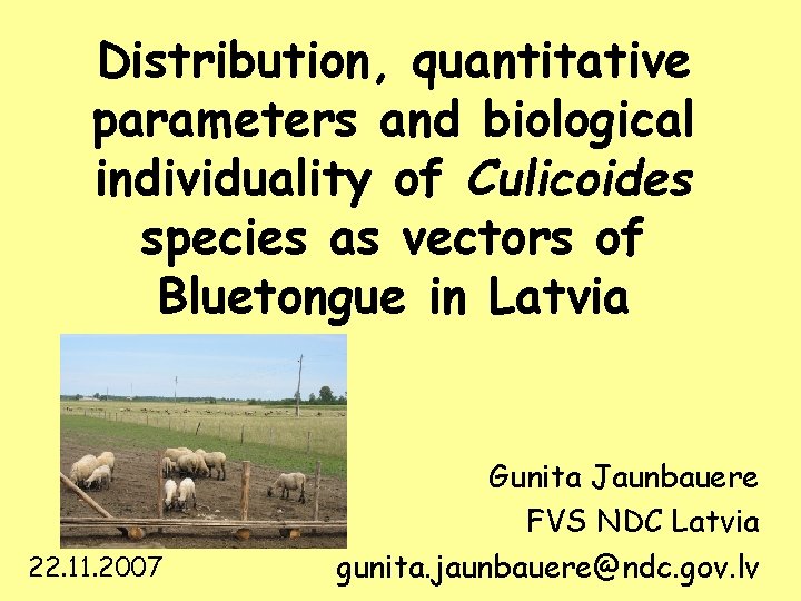 Distribution, quantitative parameters and biological individuality of Culicoides species as vectors of Bluetongue in