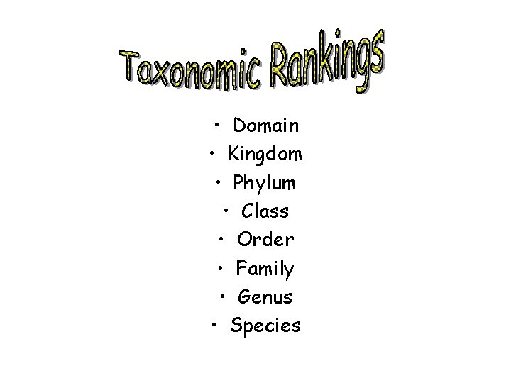  • Domain • Kingdom • Phylum • Class • Order • Family •