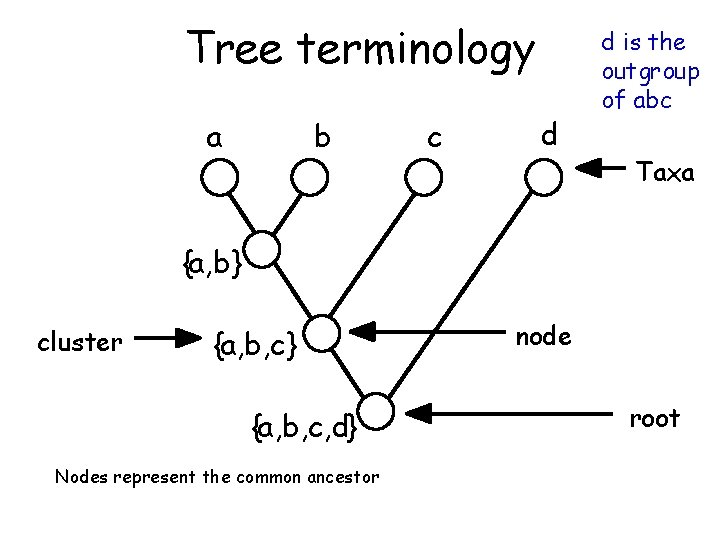 Tree terminology a b c d d is the outgroup of abc Taxa {a,
