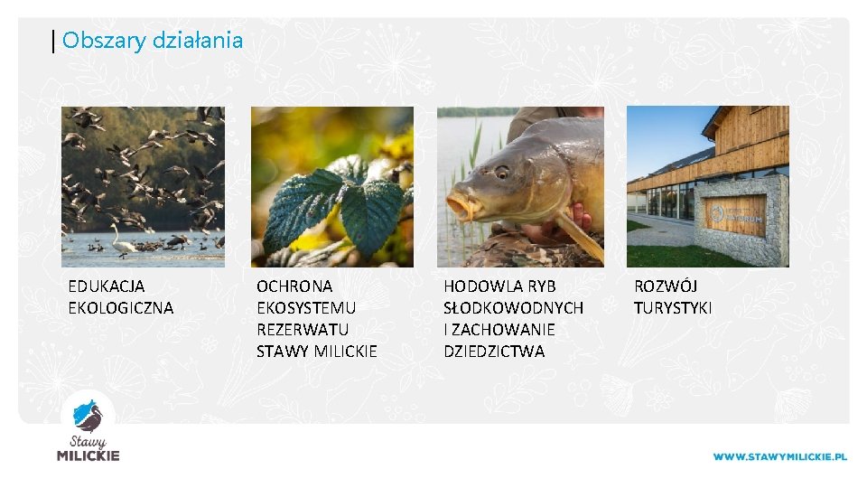 | Obszary działania EDUKACJA EKOLOGICZNA OCHRONA EKOSYSTEMU REZERWATU STAWY MILICKIE HODOWLA RYB SŁODKOWODNYCH I