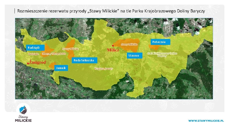 | Rozmieszczenie rezerwatu przyrody „Stawy Milickie” na tle Parku Krajobrazowego Doliny Baryczy Potasznia Radziądz